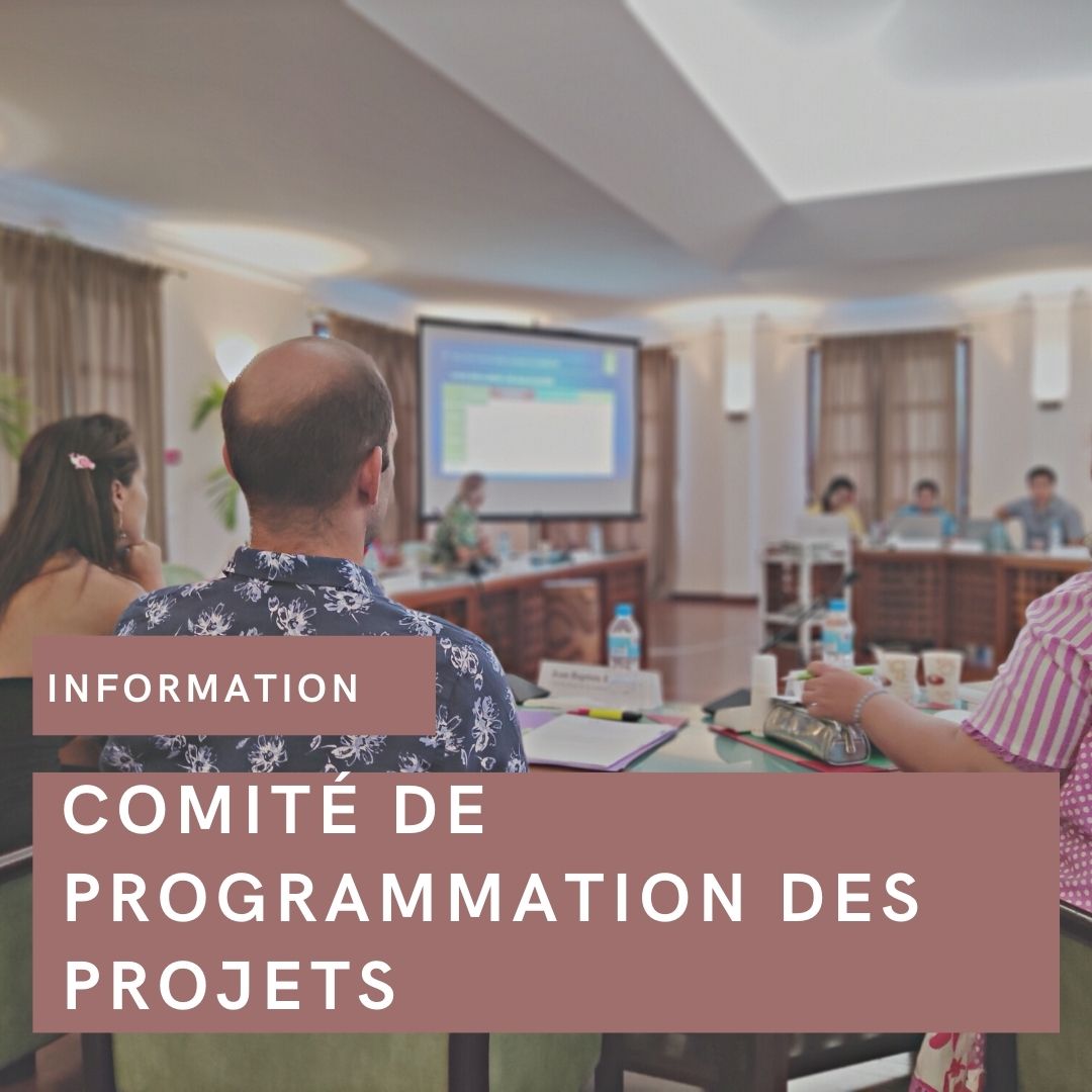 Comité de Programmation des projets Contrat de Ville